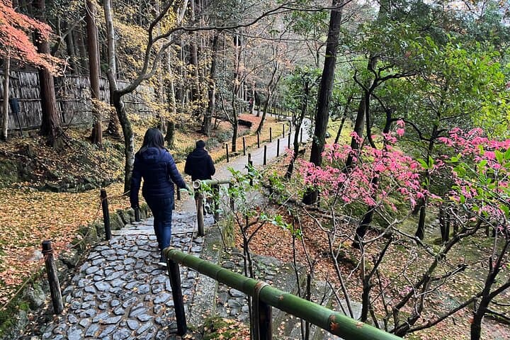 Mount Daimonji Hike: Temples, Shrines & Gardens — Full-Day Kyoto Walking Tour photo 2