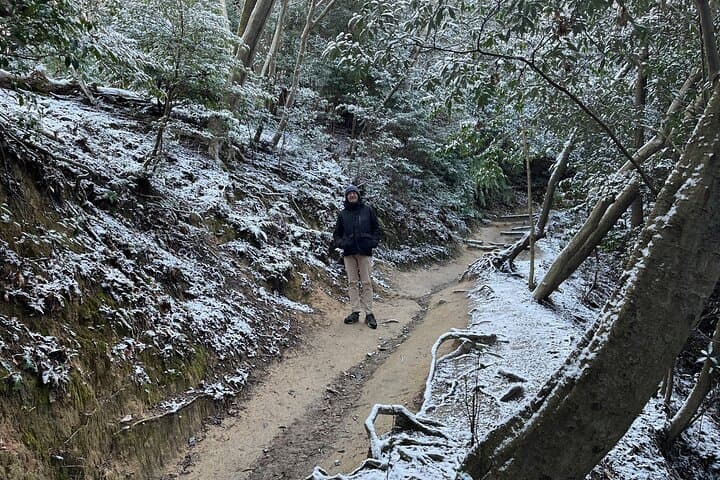 Mount Daimonji Hike: Temples, Shrines & Gardens — Full-Day Kyoto Walking Tour photo 3