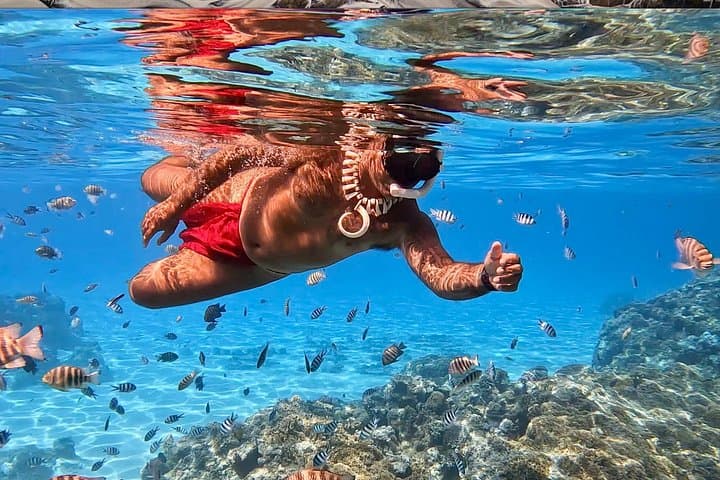 Bora Bora Jet Boat & Snorkeling Tour — Rays, Sharks and Coral Lagoons photo 2