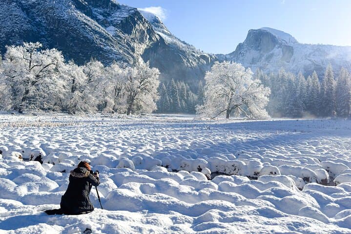 Yosemite Through the Lens — Full-Day Private Photography Workshop photo 4