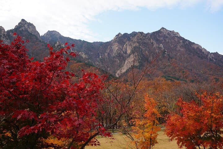 Seoraksan-Private-Tour-Cable-Car-Gwongeumseong-Views photo 2