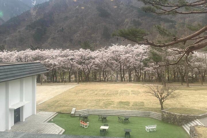 Seoraksan-Private-Tour-Cable-Car-Gwongeumseong-Views photo 5