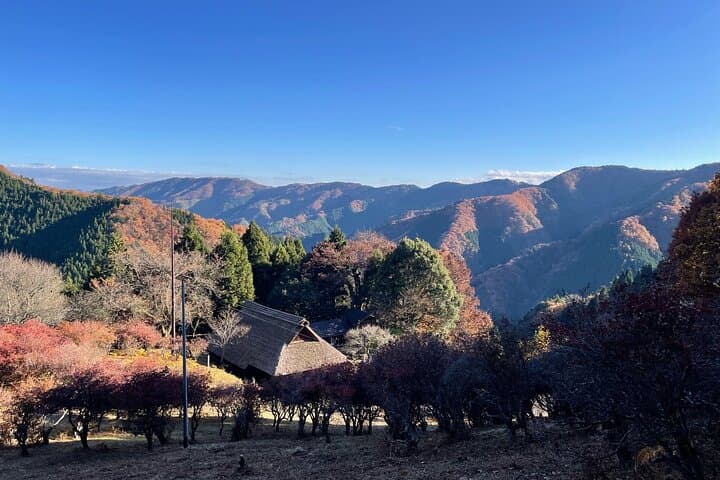 Discover Tokyo’s Mountain Roots: Hinohara Village, Kobayashi House & Akigawa Valley