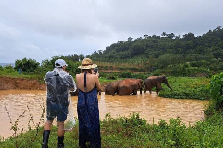 Elephant Nature Experience and Thai-Culture Workshop at Bukit Elephant Park, Phuket photo 2