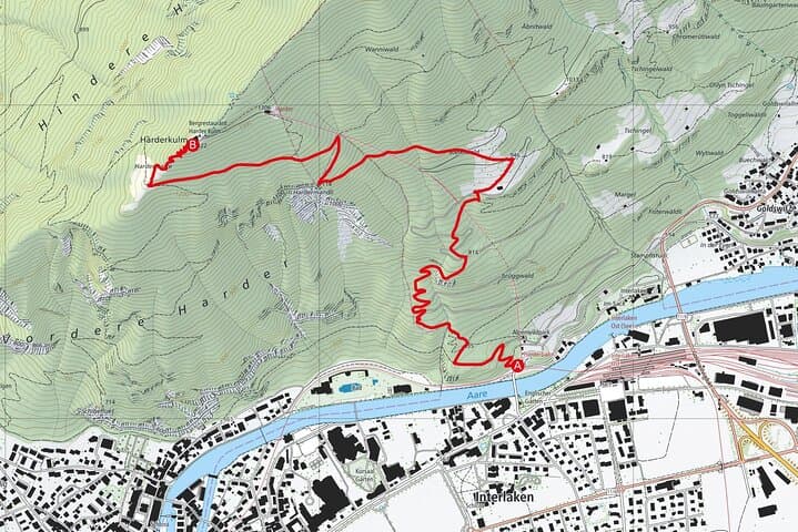 Summit Harder Kulm: Guided Hike in Interlaken with a Swiss Triathlete photo 4