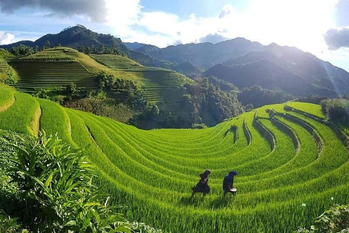 2-Day Sapa Trekking Tour: Rice Terraces & Minority Villages photo 4