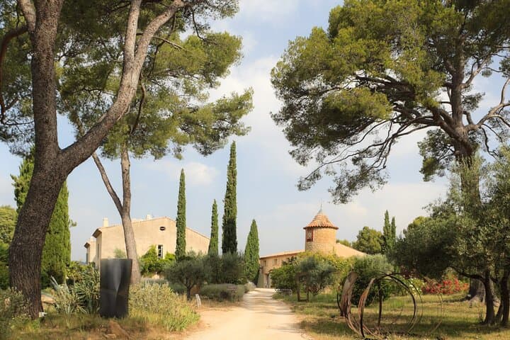 Private Vineyard Tour & Bandol Wine Tasting: How to Experience the Region’s Best photo 3