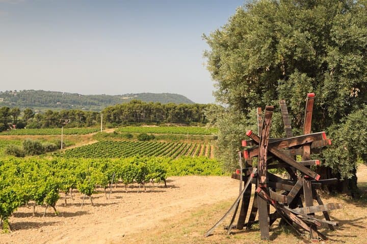 Private Vineyard Tour & Bandol Wine Tasting: How to Experience the Region’s Best photo 2