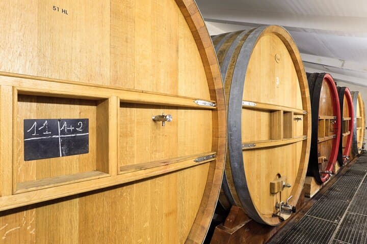 Private Vineyard Tour & Bandol Wine Tasting: How to Experience the Region’s Best photo 5