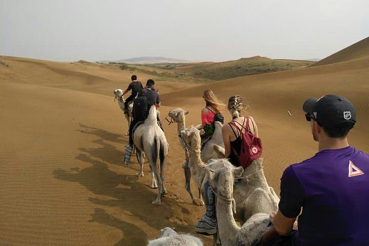 Kubuqi Desert Day Trip from Hohhot — Whistling Dune Bay Adventure photo 2