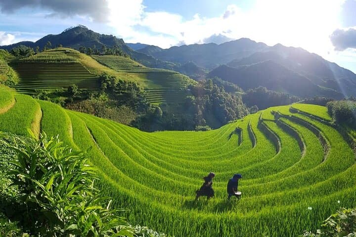Sapa 2-Day Trek: Rice Terraces, Hmong Villages & Ta Van Homestay photo 4