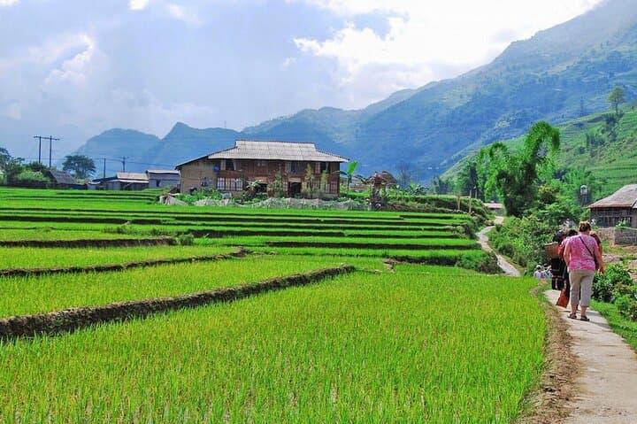 Sapa 2-Day Trek: Rice Terraces, Hmong Villages & Ta Van Homestay photo 5
