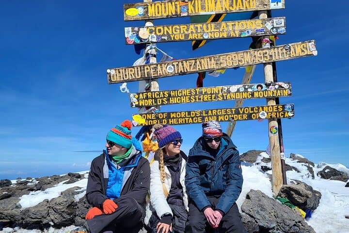 Conquer Kilimanjaro: 8-Day Lemosho Summit Trek from Moshi photo 4