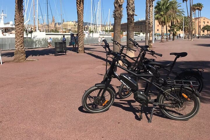 Electric Bike Tour of Barcelona Beaches and Parks — Port Olímpic to Poblenou photo 6