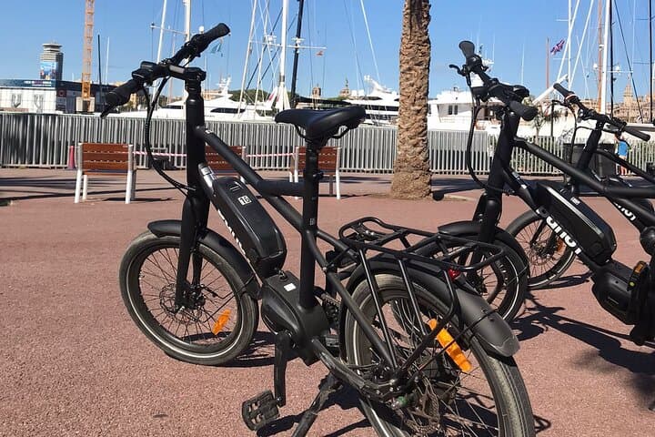 Electric Bike Tour of Barcelona Beaches and Parks — Port Olímpic to Poblenou photo 3