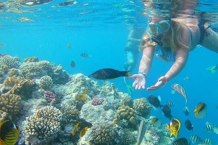 Island Hopping to Orange Bay & Giftun Islands from Hurghada — Full-Day Snorkel Cruise photo 5
