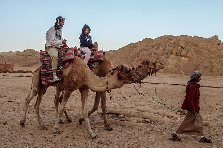 Sharm El Sheikh Mega Safari: ATV Dunes, Parasailing & Glass-Bottom Boat Adventure photo 5