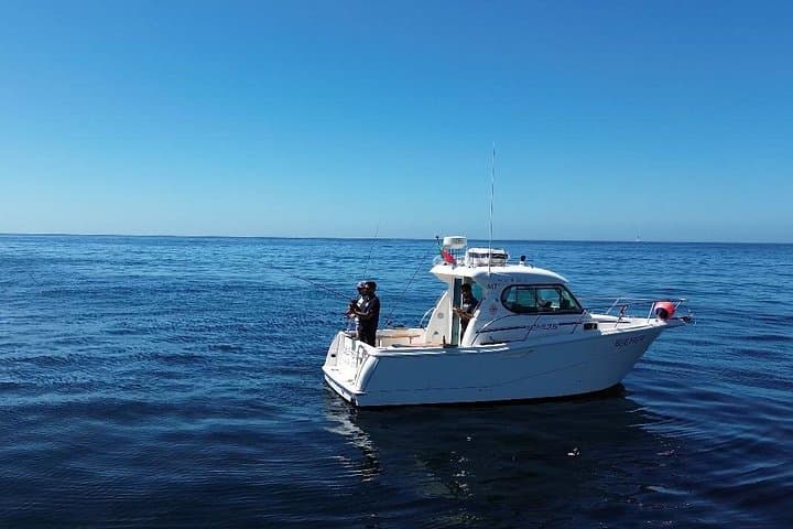 Sesimbra Sports Fishing: Pargo, Mackerel & Gilt-Head Bream Day Trip photo 1