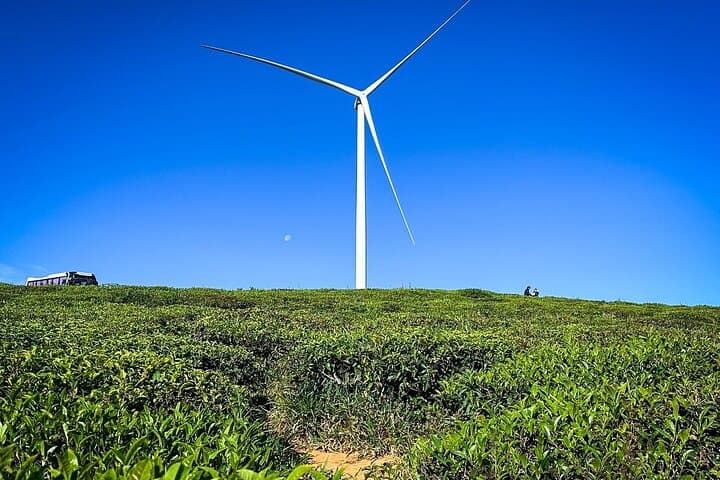 Da Lat Sunrise Cloud Hunting Tour — Cau Dat Tea Hill & Strawberry Farms photo 4