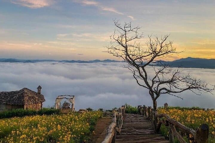 Da Lat Sunrise Cloud Hunting Tour — Cau Dat Tea Hill & Strawberry Farms photo 2