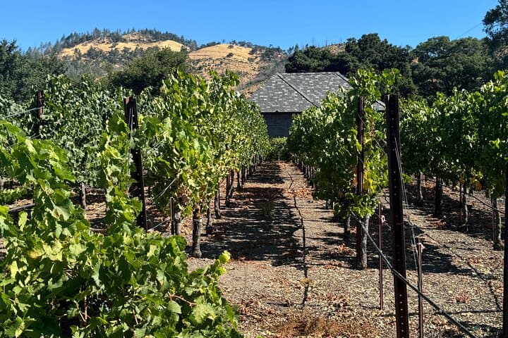 Napa Valley Luxury Wine Tour — 6-Hour Private Car Service & Chauffeured Tastings photo 2