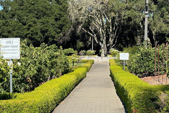 Napa Valley Luxury Wine Tour — 6-Hour Private Car Service & Chauffeured Tastings photo 3