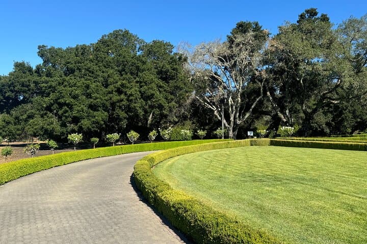 Napa Valley Luxury Wine Tour — 6-Hour Private Car Service & Chauffeured Tastings photo 5