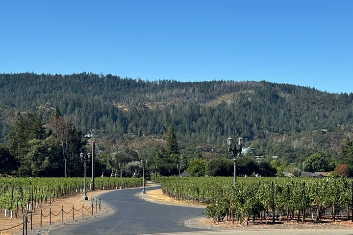 Napa Valley Luxury Wine Tour — 6-Hour Private Car Service & Chauffeured Tastings photo 6