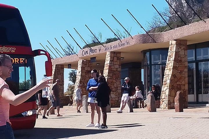 Full-Day Cape Peninsula Tour — Cape Point, Boulders Penguins & Chapman’s Peak Drive photo 4