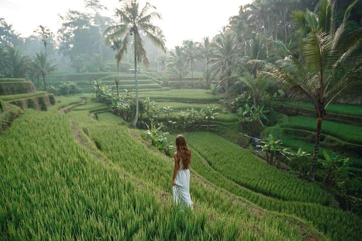 Bali 2-Day Ubud + Nusa Penida: Rice Terraces, Temples & Cliff Beaches photo 4