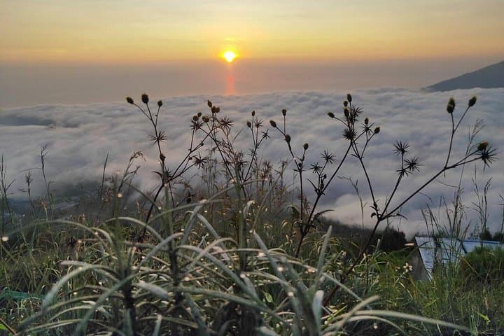 Mount Batur Sunrise Trek: Private Guided Mount Batur Trekking from Kintamani photo 4