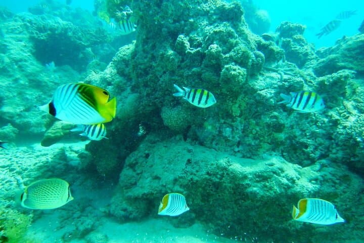 Madagascar Cultural and Natural Wonders: 11-Day South Island Tour photo 4