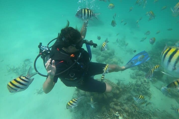 Cartagena Shipwreck & Reef Diving Day Trip to Playa Blanca and Barú photo 2
