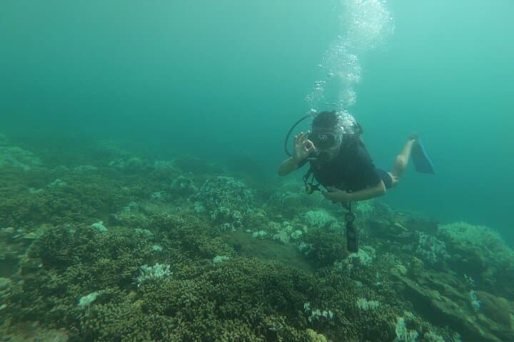 Cartagena Shipwreck & Reef Diving Day Trip to Playa Blanca and Barú photo 3