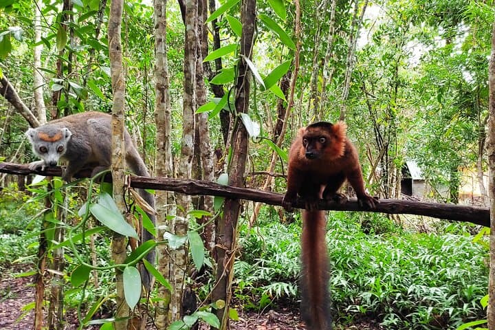 Madagascar Cultural and Natural Wonders: 11-Day South Island Tour photo 3