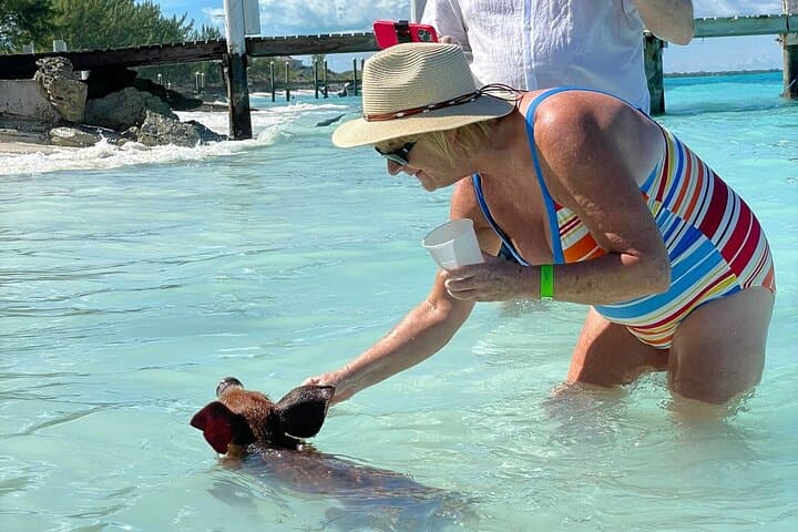 Rose Island Snorkel, Swimming Pigs & Rum Punch Day Trip from Nassau photo 3