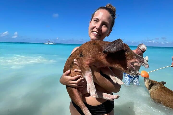 Rose Island Snorkel, Swimming Pigs & Rum Punch Day Trip from Nassau photo 4