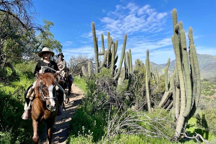 Andes Horseback Ride with Cheese & Wine Picnic — Private Tour from Santiago photo 6
