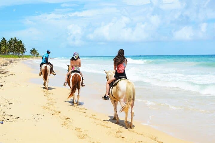 Explore Culture and Nature at Chocaci Ranch in Punta Cana photo 4