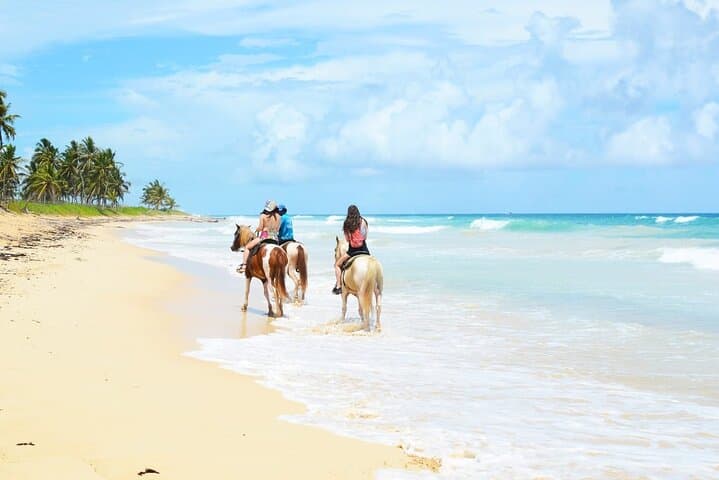 Explore Punta Cana: Jungle & Beach Horse Riding Adventure
