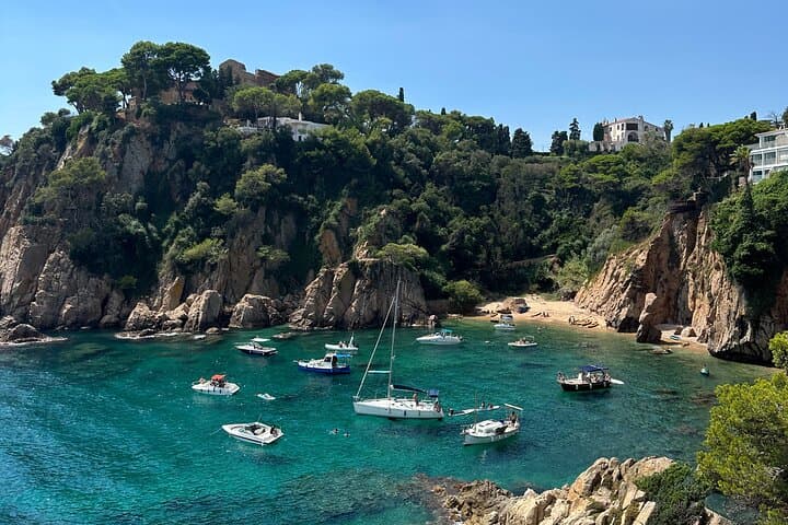 Barcelona to Blanes & Marimurtra Garden: Private 7-Hour Coastal Tour with 3-Course Lunch photo 3