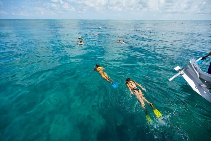Explore Key West’s Turquoise Waters on a Ragin’ Cajun Seafood Snorkel Adventure photo 3