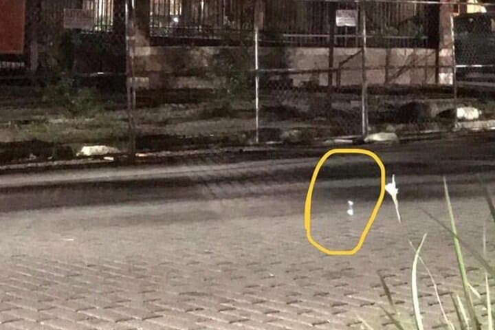 Helen Ghosts Voodoo Haunted Walking Tour with Paranormal Investigation photo 5