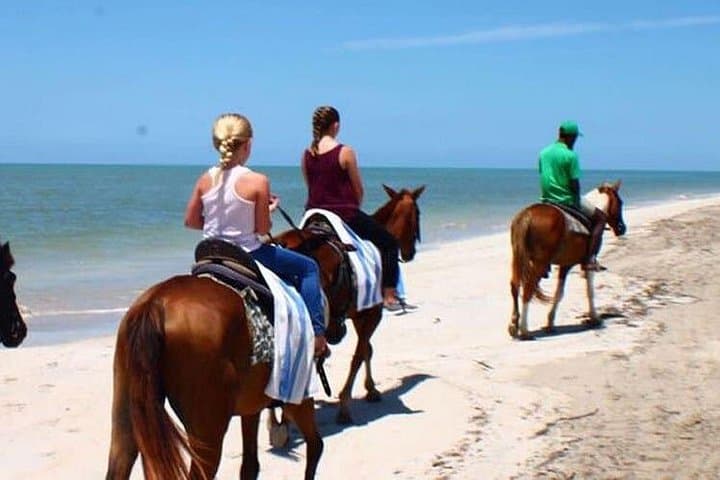 Climb Dunn's River Falls and Ride the Coast: Montego Bay Day Tour photo 5
