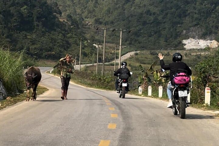 Ban Gioc Waterfall Full-Day: Cao Bang Geopark, Nguom Ngao Cave & Angel Eye Mountain photo 2