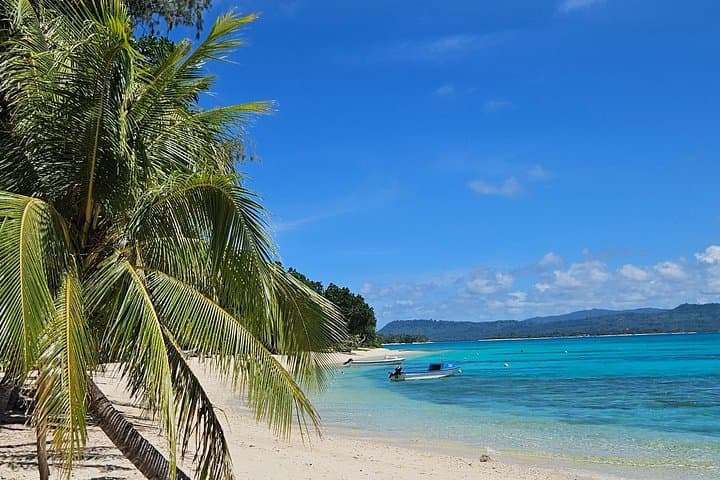 Pele Island Escape: Full-Day Boat Tour & Beach BBQ from Port Vila photo 1