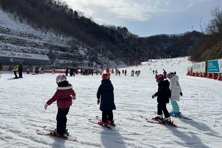 Day Trip from Seoul: Elysian Gangchon Ski, Nami Island & Eobi Ice Valley photo 6