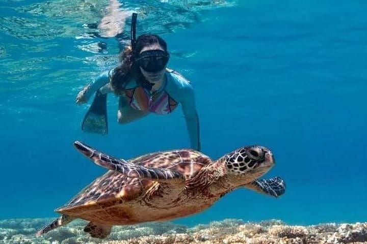Amed Underwater Temple Snorkeling: Japanese Wreck, Coral Garden & Turtle Point photo 1