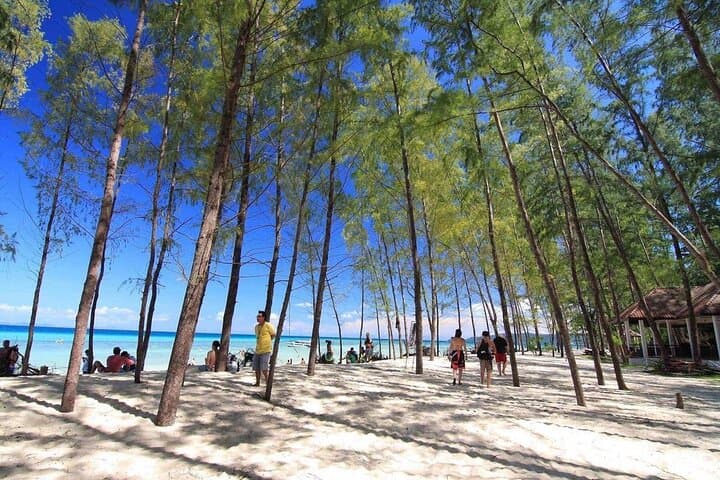 Phi Phi and Bamboo Island Speedboat Day Trip from Phuket — Maya Bay, Pileh Lagoon & Snorkeling photo 2