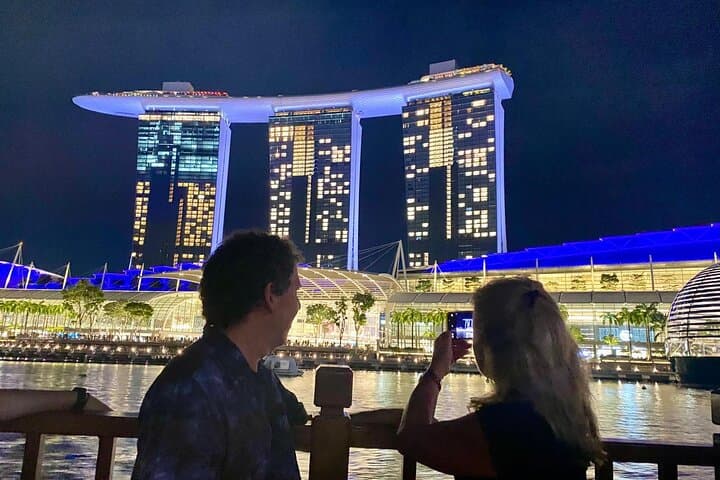 Private Singapore City Car Tour — 4- or 8-Hour Custom Cultural Drive photo 4